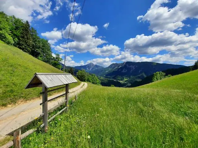 6 Tren Liburan 2026 yang Diprediksi Bakal Populer: Dari Fan Voyage hingga Set-Jetting pemandangan padang rumput hijau dan perbukitan di pedesaan (tren farm charm)
