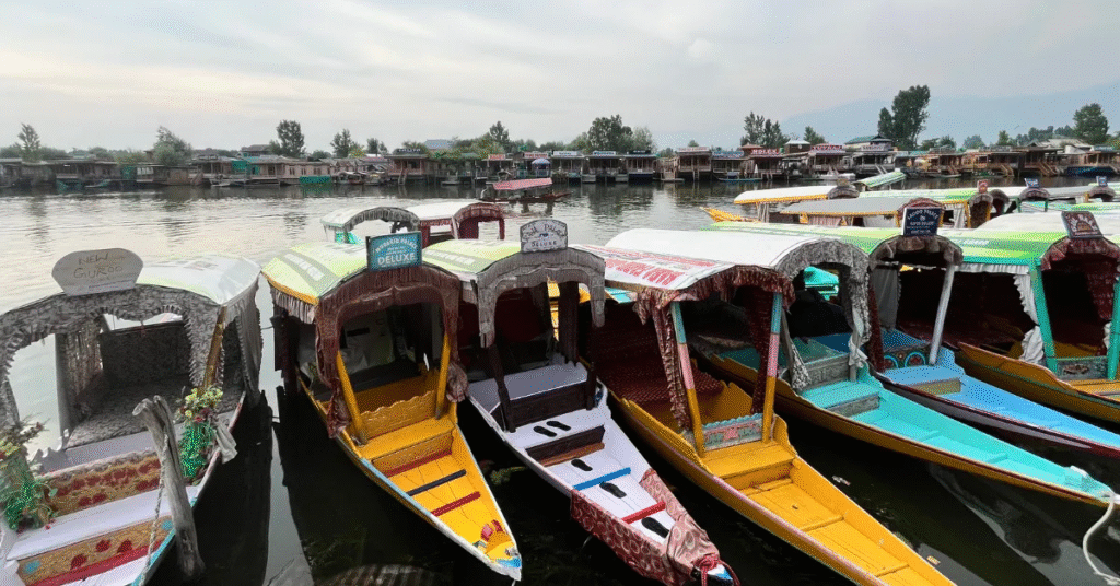Barisan perahu shikara berwarna-warni di tepian Danau Dal, Srinagar.