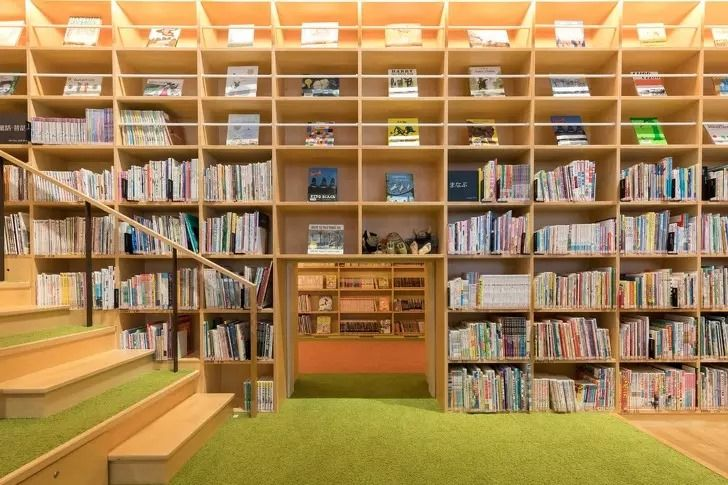 "Pustakawan Hutan" Jepang: Pria yang Mengkatalogkan Pohon dengan Tangan dan Melestarikan Arsip Hidup Rak buku kayu yang tinggi di dalam perpustakaan, menampilkan suasana tenang.